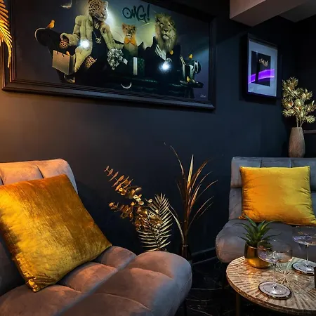 “la Nuit De Reve” Centre Historique Perpignan