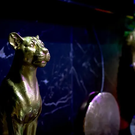 “la Nuit De Reve” Centre Historique Perpignan