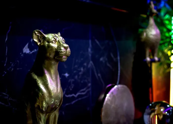 “la Nuit De Reve” Centre Historique Perpignan