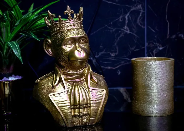 “la Nuit De Reve” Centre Historique Perpignan