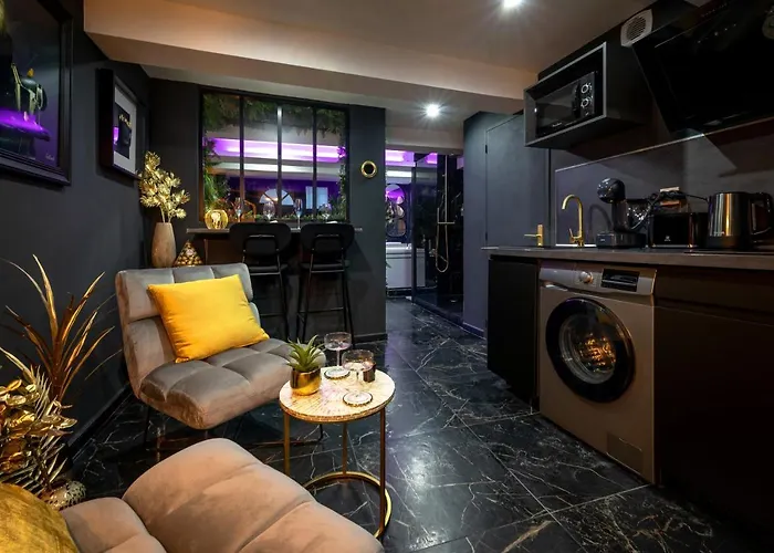 “la Nuit De Reve” Centre Historique Perpignan